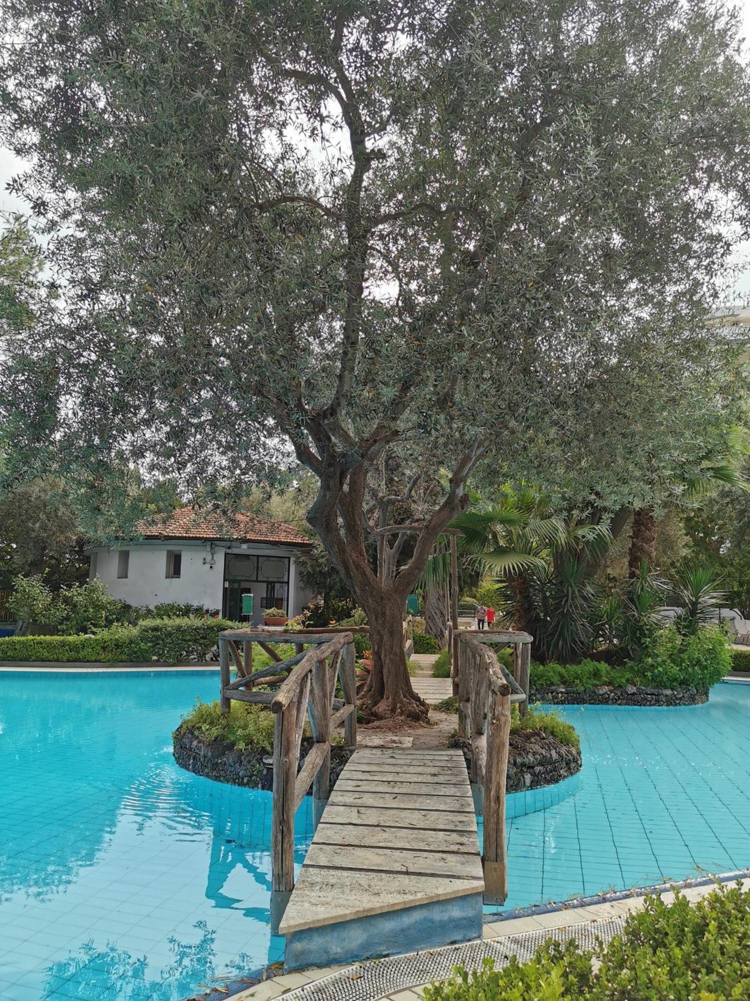 Casa Mar - Elegant Apartment With Pool And Panoramic Terrace In The Heart Of Sorrento Exterior photo